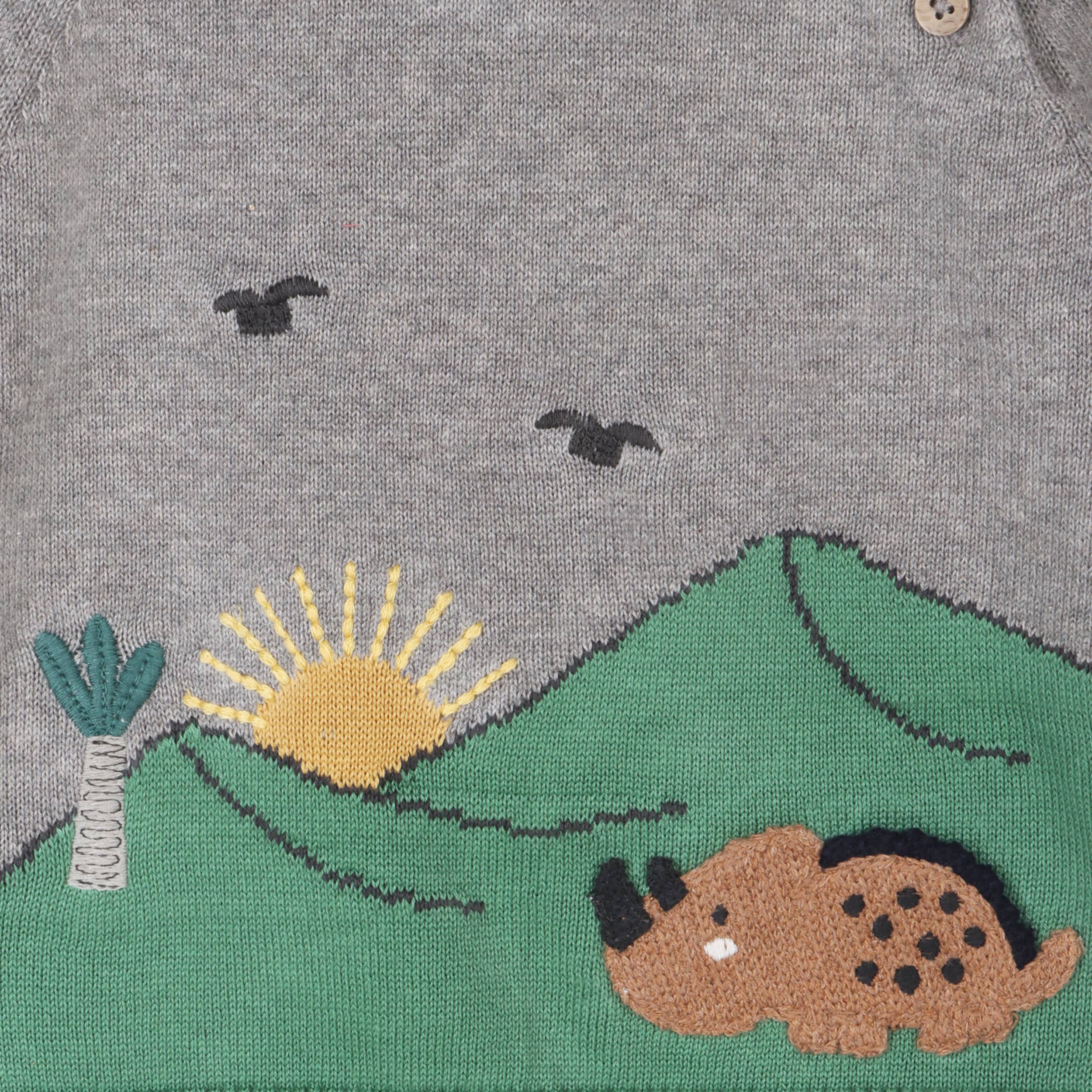 ORGANIC Dinosaur Jacquard Knit Raglan Baby Sweater