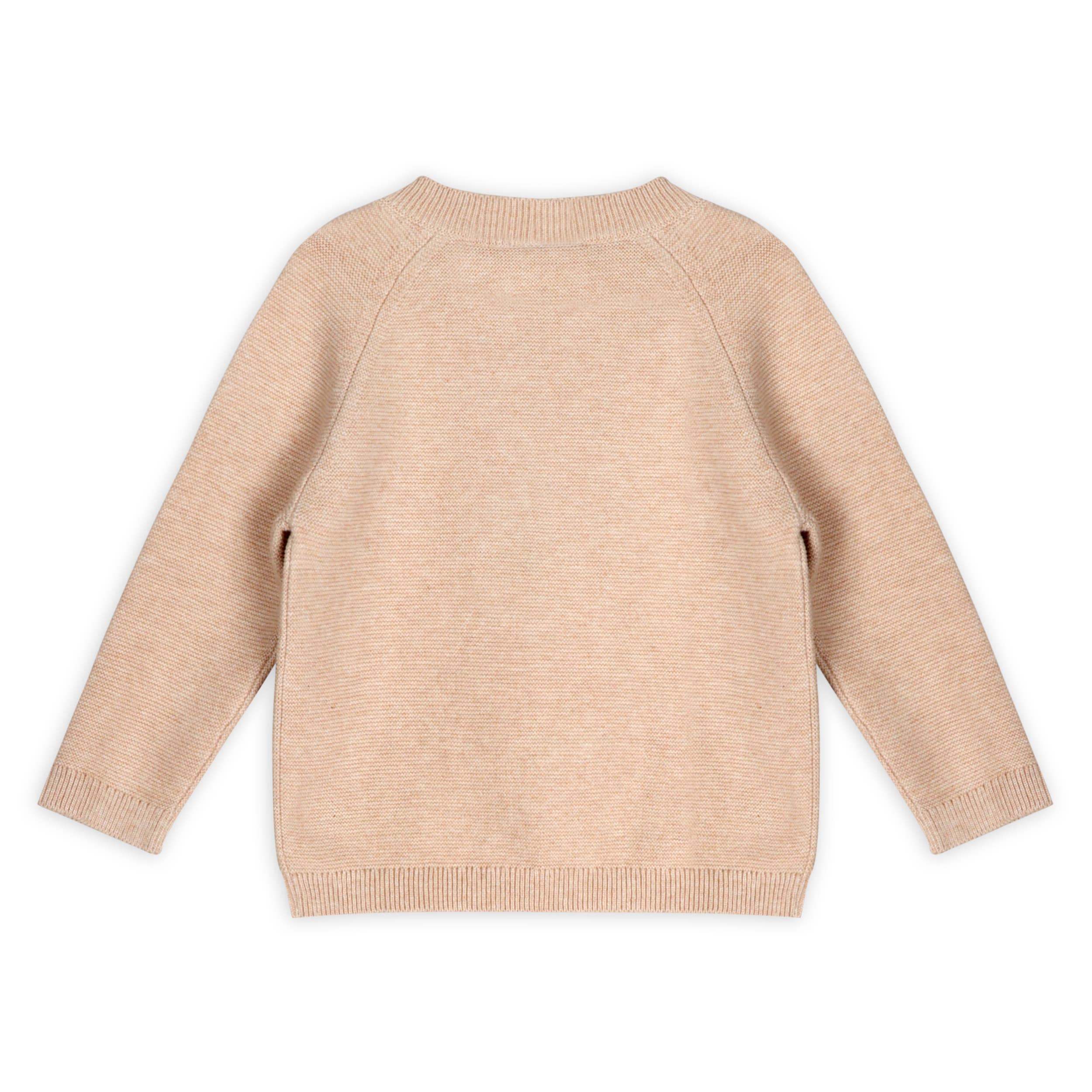 Lion Appliqué Sweater Knit Baby Pullover & Pant SET -Organic