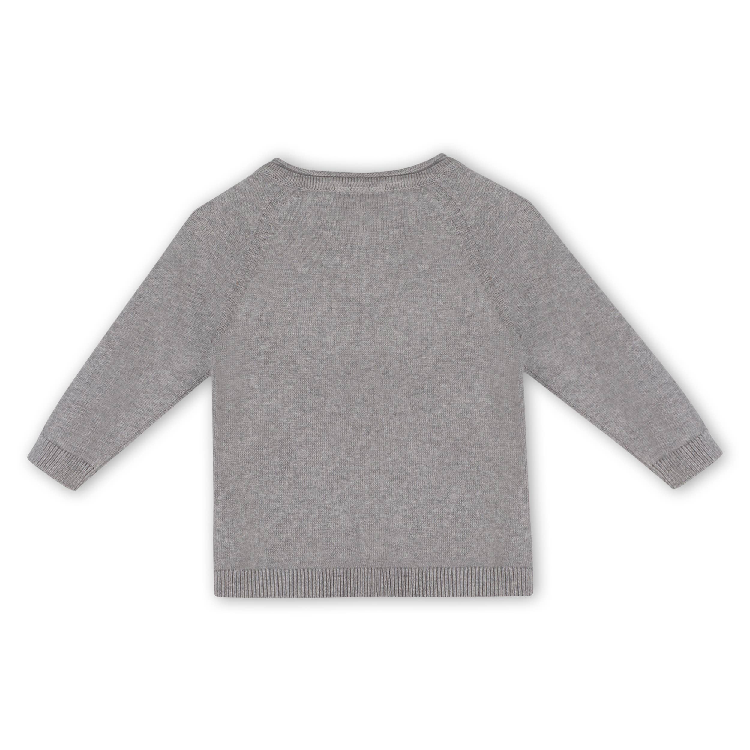 ORGANIC Dinosaur Jacquard Knit Raglan Baby Sweater