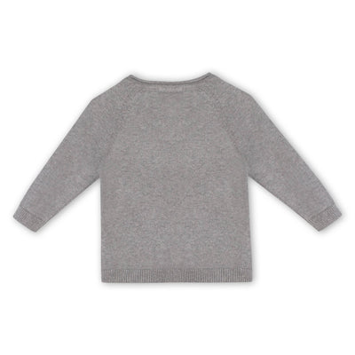 ORGANIC Dinosaur Jacquard Knit Raglan Baby Sweater