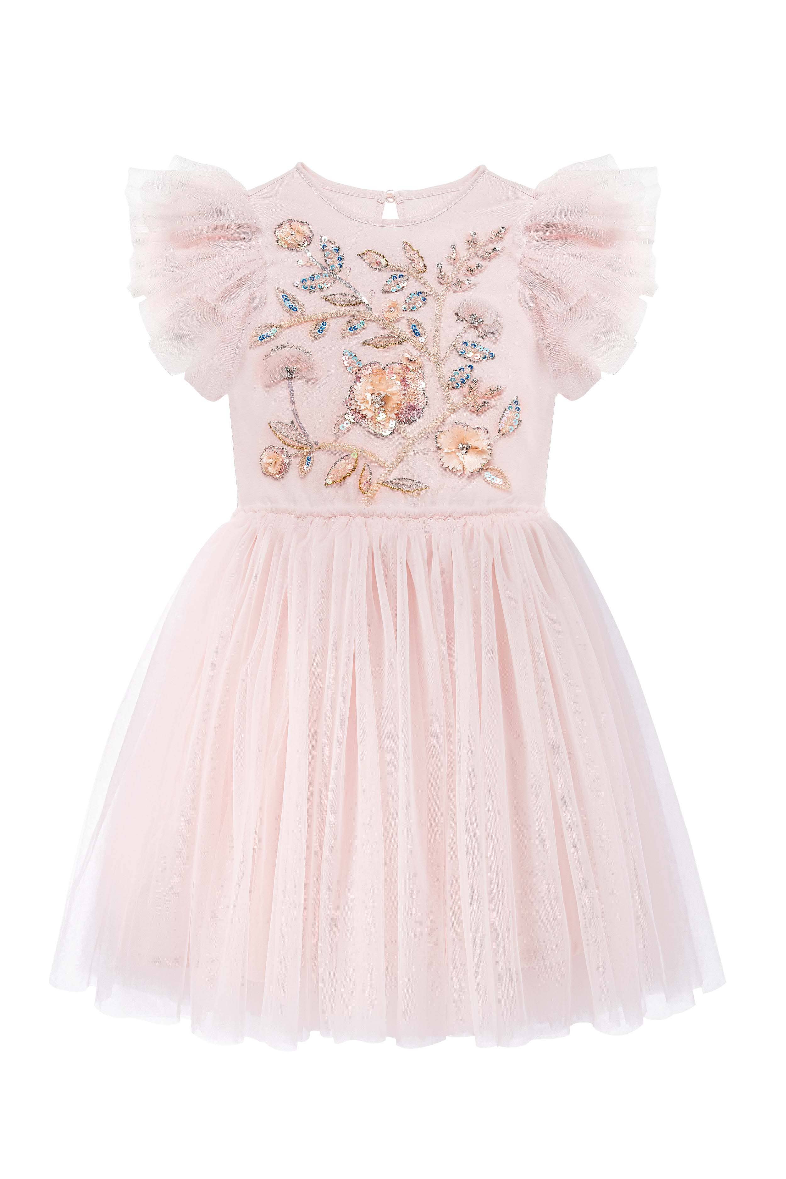 Embroidered Lace Flower Fairy Girl Dress