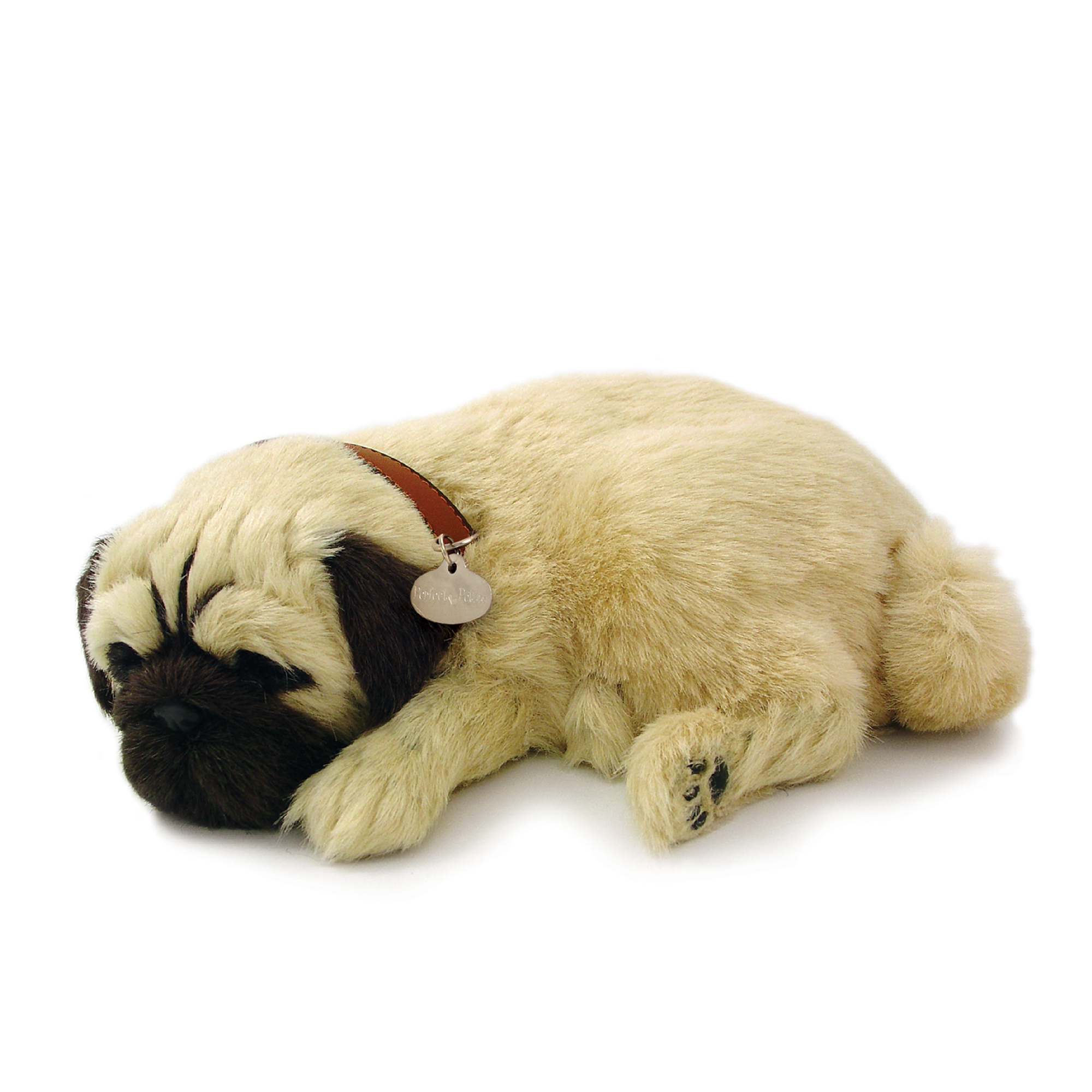 Sleeping Pug