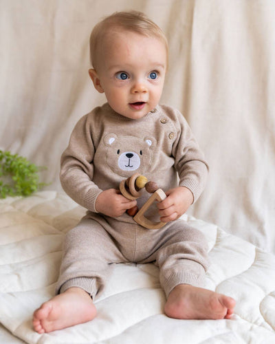 ORGANIC Teddy Bear Applique Baby Raglan Pullover