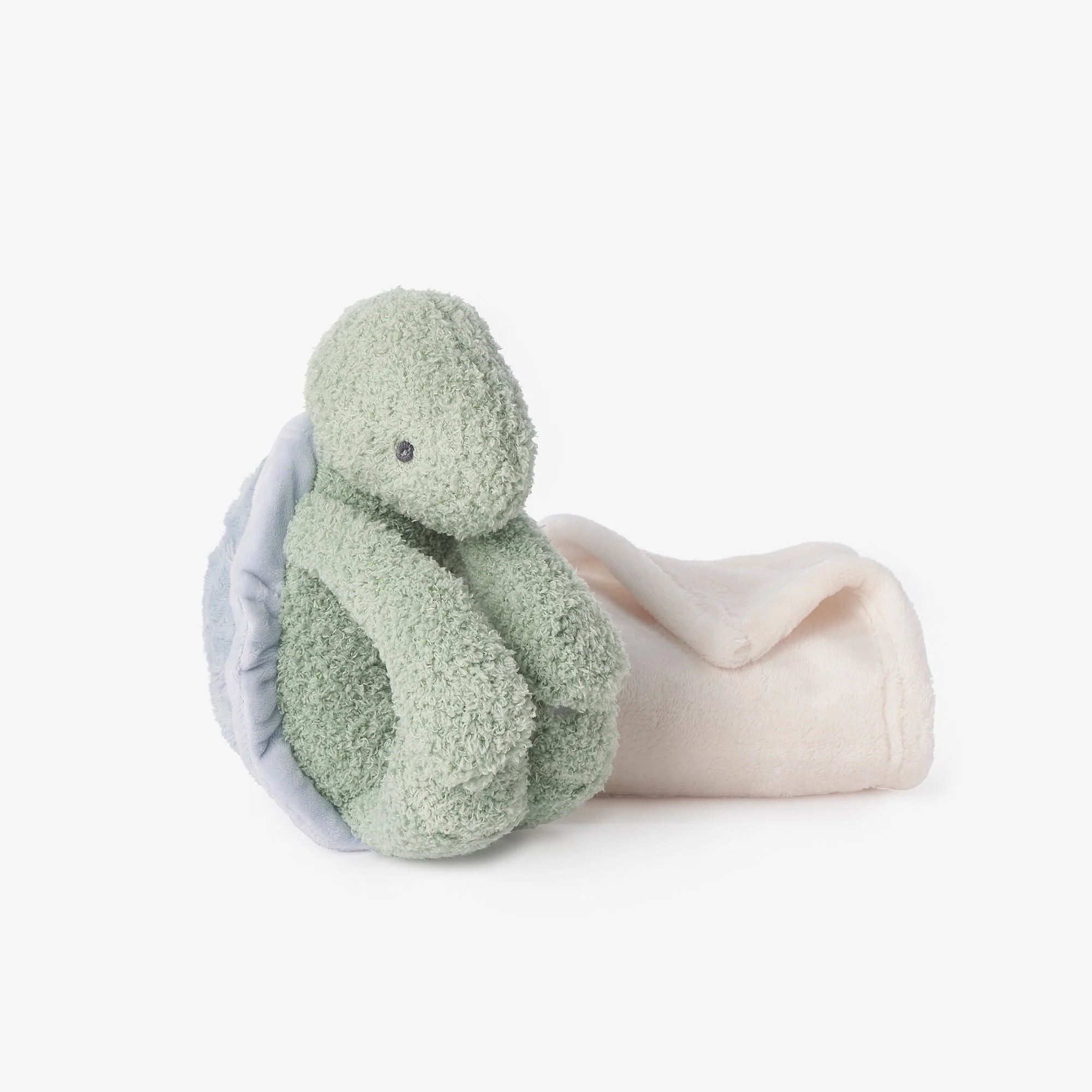 Turtle Plush Toy With Blanket