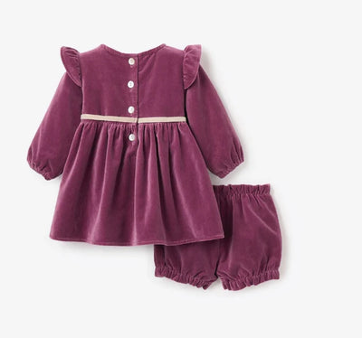 Tulipwood Velveteen Bow Dress