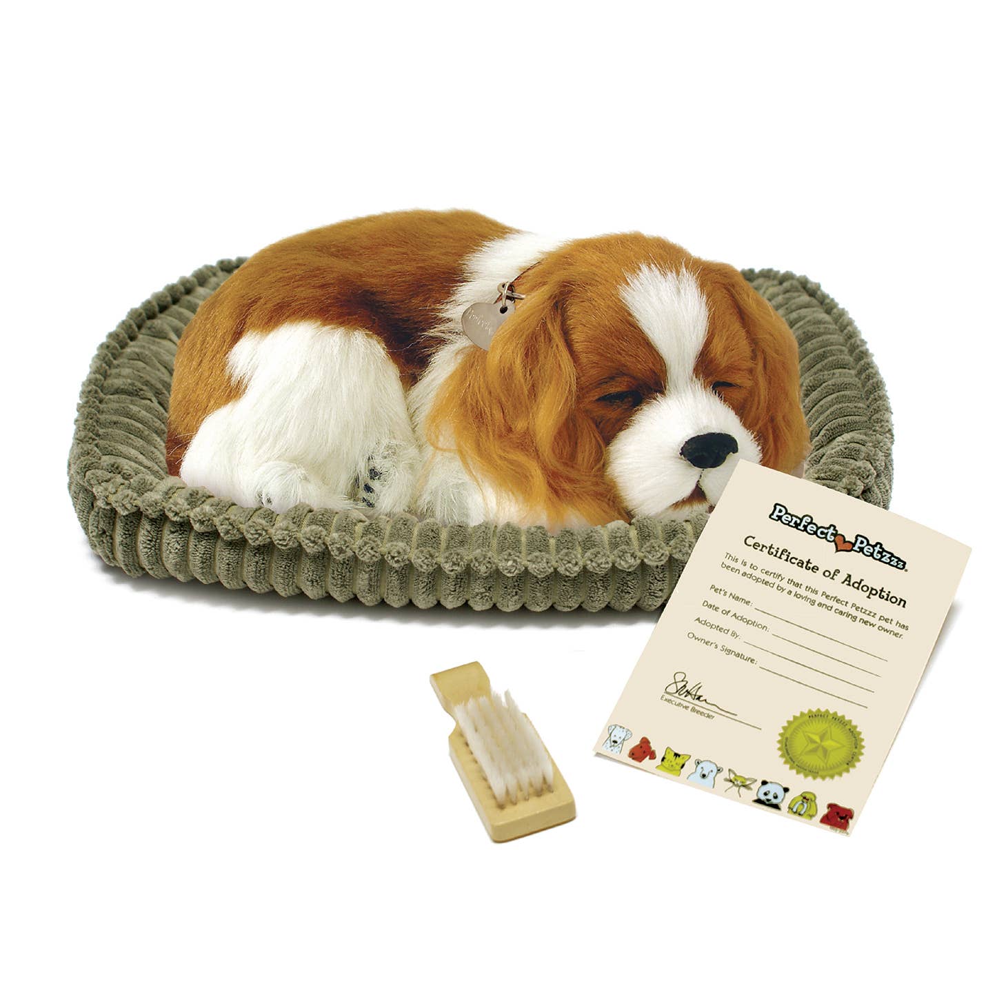 Sleeping Cavalier King Charles