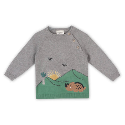 ORGANIC Dinosaur Jacquard Knit Raglan Baby Sweater