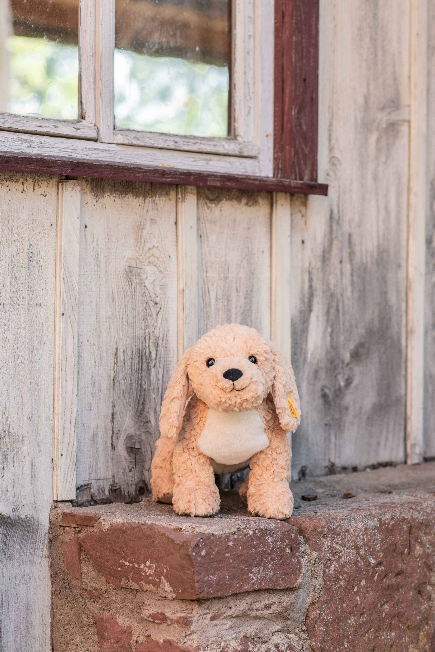 Berno Goldendoodle Dog Plush Stuffed Toy, 14 Inches