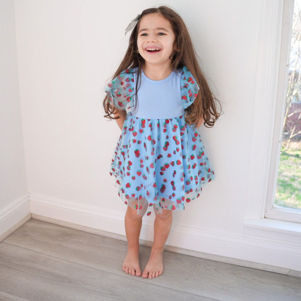 Strawberry Sweet Toddler Twirl Dress